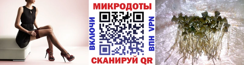 площадка Telegram  магазин  наркотиков  Красноярск  Псилоцибиновые грибы мухоморы 
